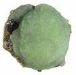 Globular Prehnite with Epidote - Mali #56105-1